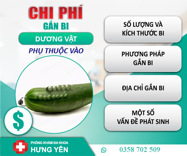 Chi phí gắn bi dương vật