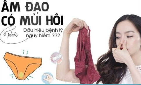 khi-hu-co-mui-hoi