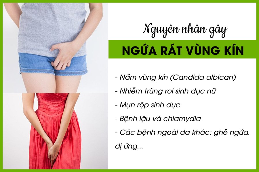 Nguyên nhân ngứa vùng kín